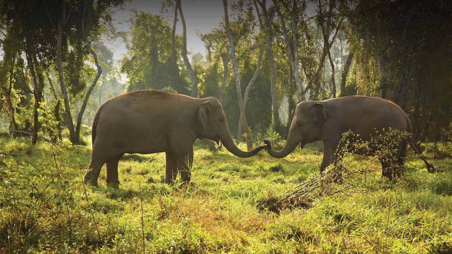 Anantara