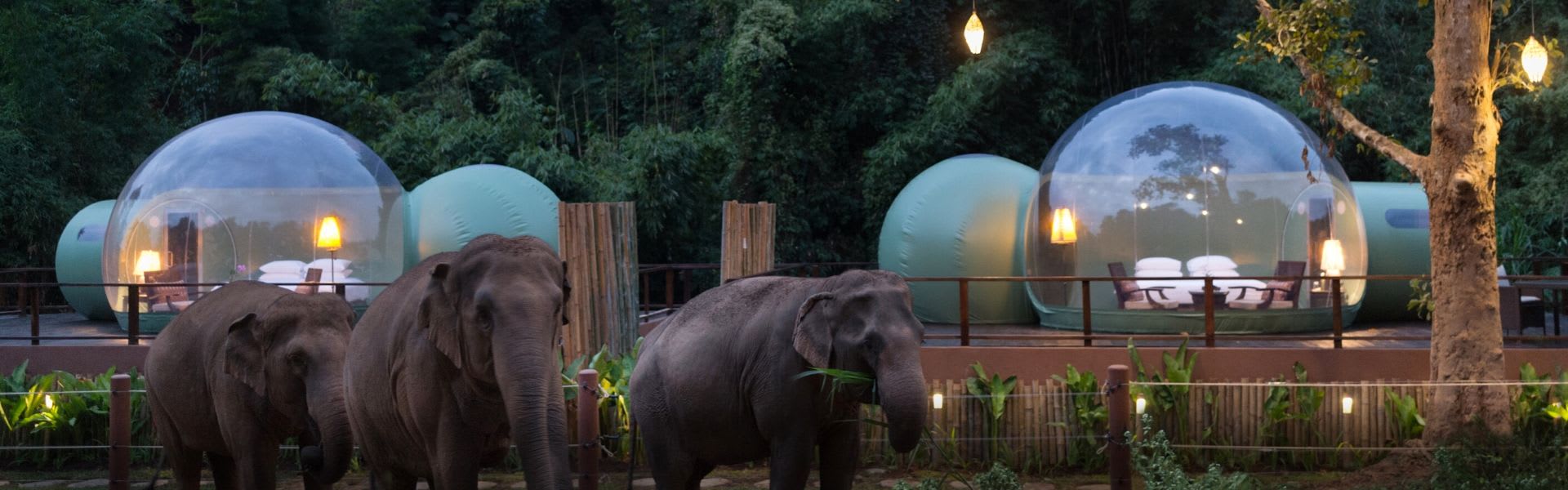 https://assets.anantara.com/image/upload/q_auto%2Cf_auto%2Cc_limit%2Cw_1920/media/minor/anantara/images/anantara-golden-triangle-elephant-camp--resort/experiences/jungle-bubbles/agt_junglebubbles_1920_600_n.jpg
