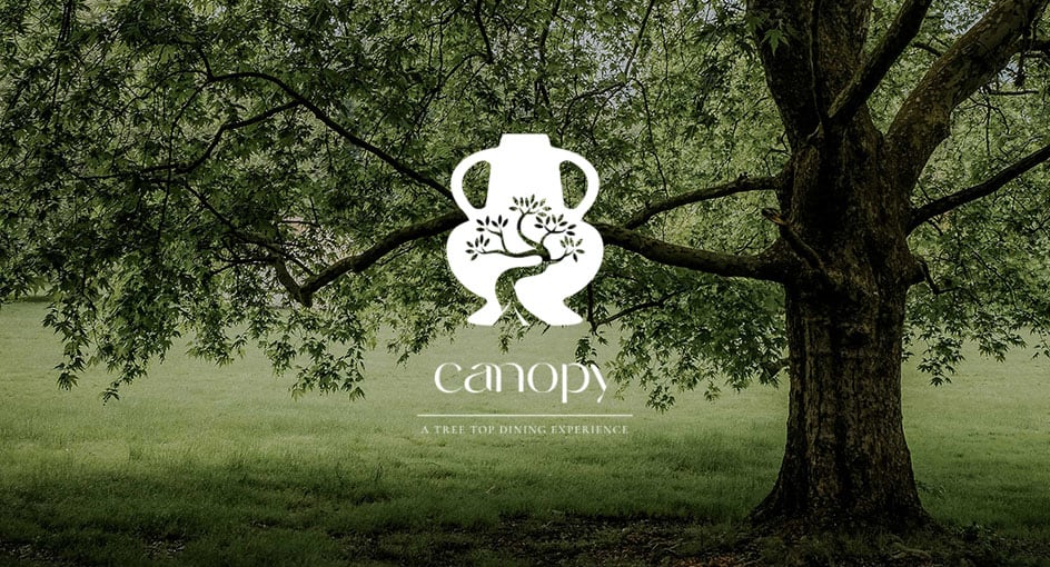 Canopy a Tree Top Dining Experience at Anantara Golden Triangle