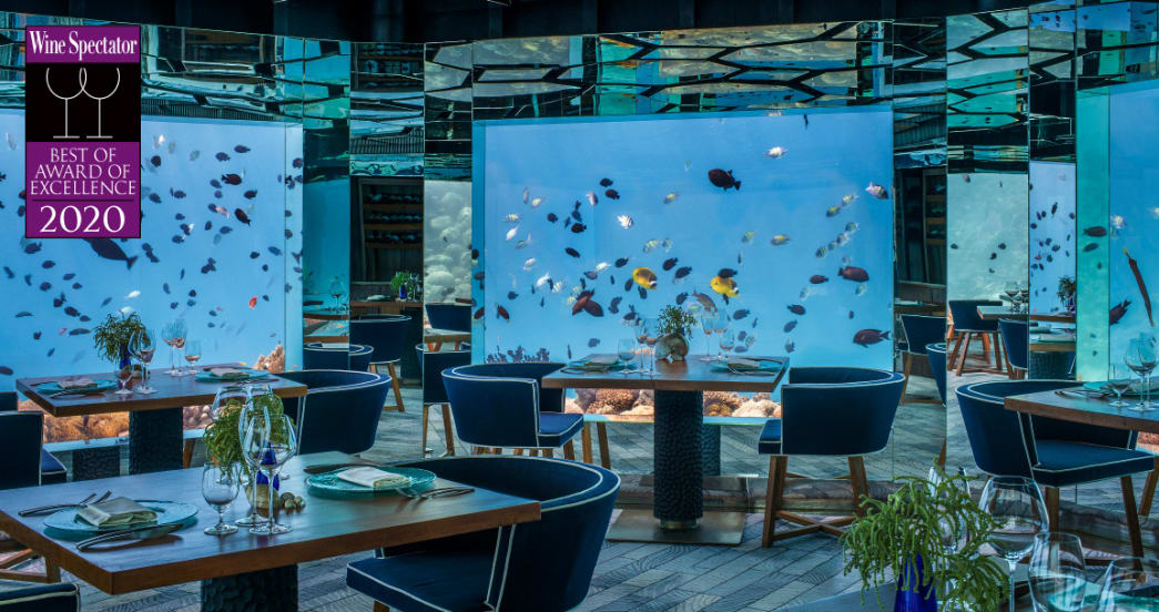 Underwater Restaurant in Maldives, Sea.