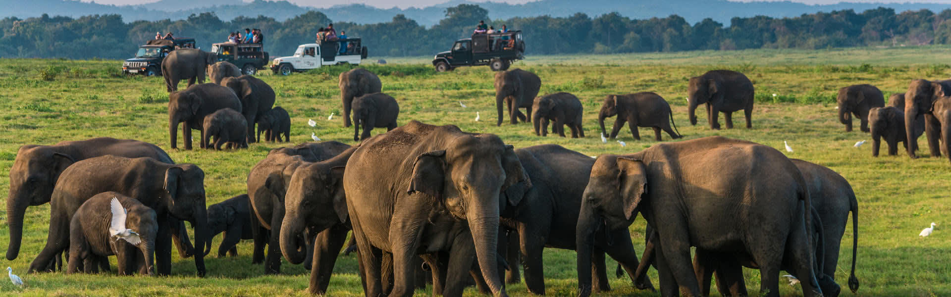 yala safari uganda