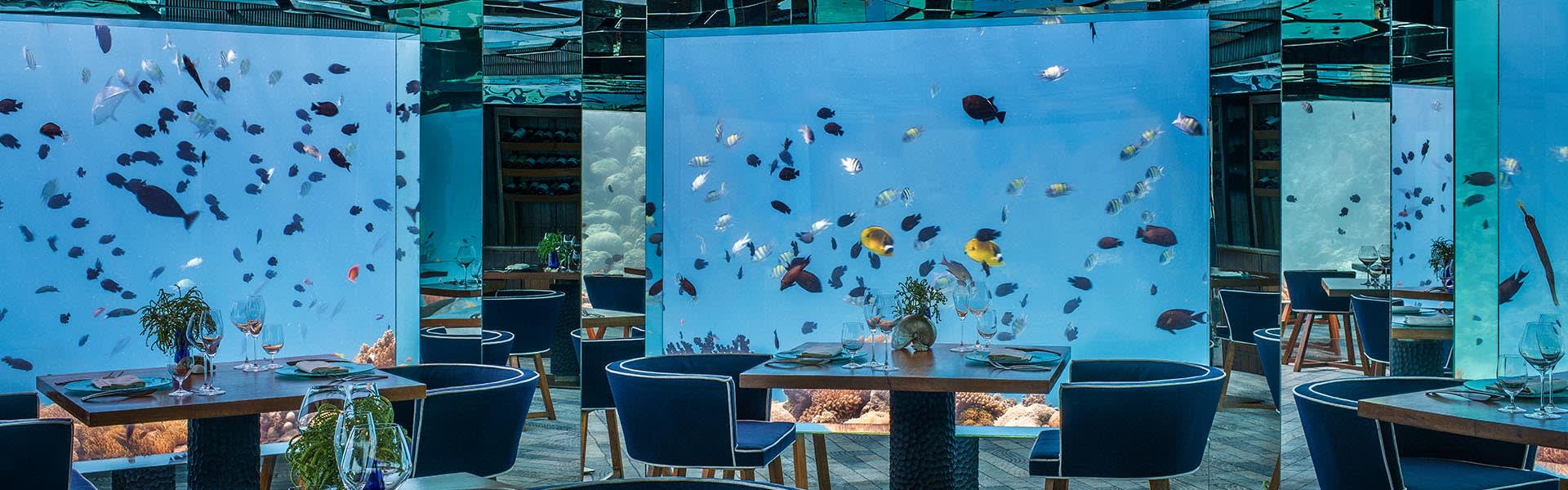 Luxury Fine-Dining Experiences | Anantara Journey Through Flavour