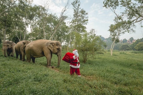 Anantara Hotels & Resorts Festive Global Tour