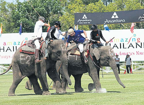 Anantara’s King’s Cup Elephant Polo Tournament 2016 Moves to Bangkok’s Scenic Riverside