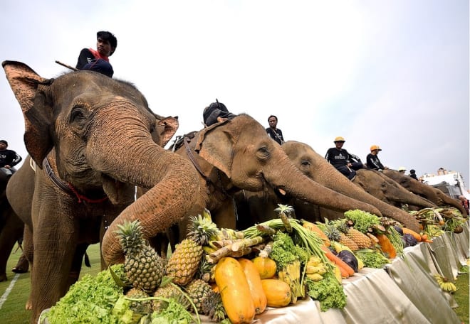 Anantara Announces Dates to Bangkok’s 2018 King’s Cup Elephant Polo Tournament