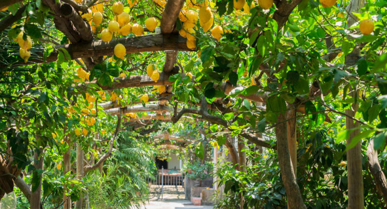 Experiences in Amalfi l Anantara Convento Di Amalfi Grand Hotel