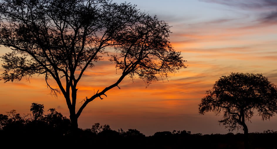 Anantara Kafue River Tented Camp