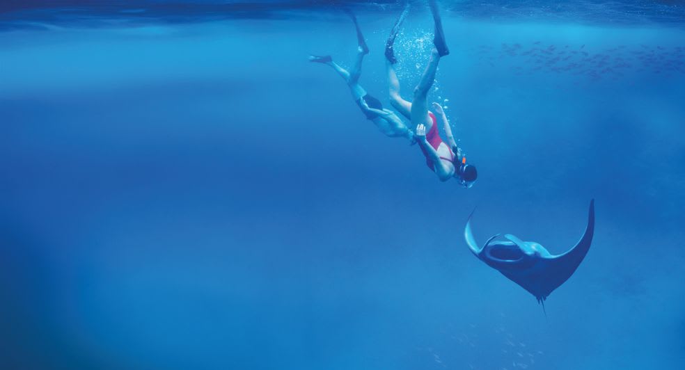 Snorkelling with manta rays at Anantara Kihavah Maldives