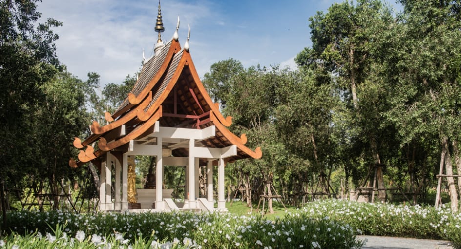 Mindfulness house