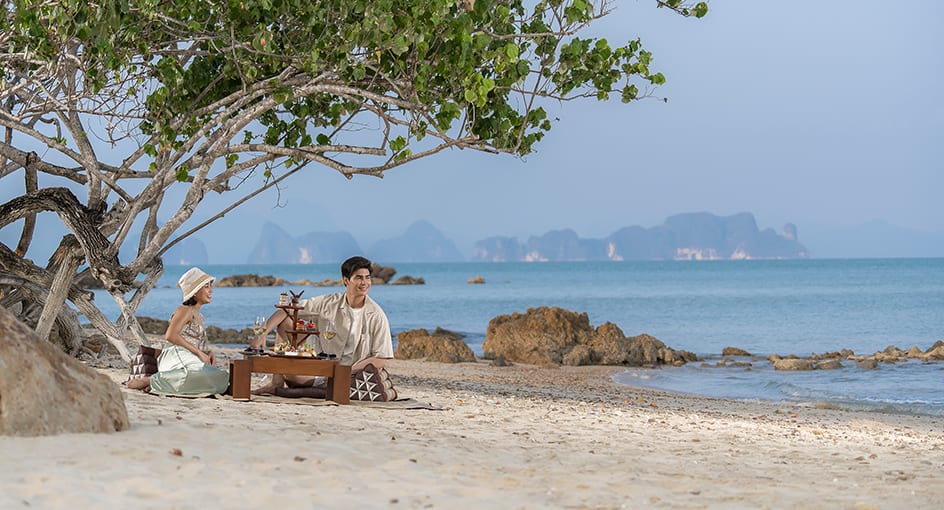 Beach picnic