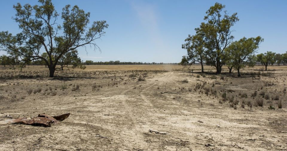 Soil erosion conservation