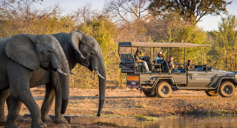 SAFARI