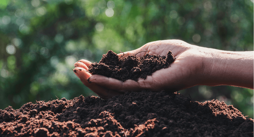 Composting Programme at Anantara Ubud Bali Resort