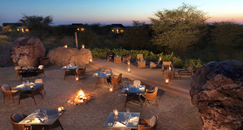 On the expansive plains of the savannah at Sir Bani Yas Island