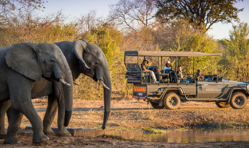Experience Africa's conservation and wildlife at Anantara Stanley & Livingstone Victoria Falls Hotel