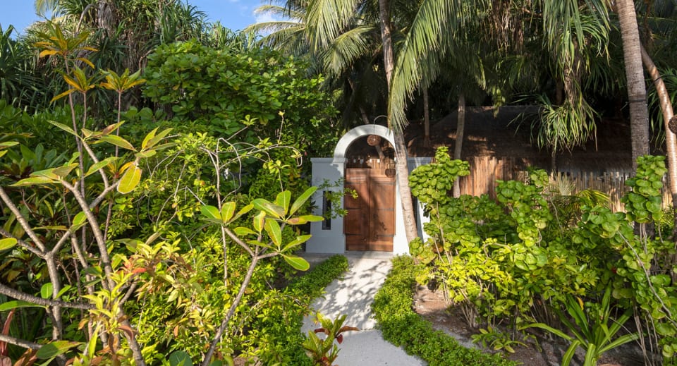 Wellness in Maldives includes lush foliage exposing the island's green and blue 