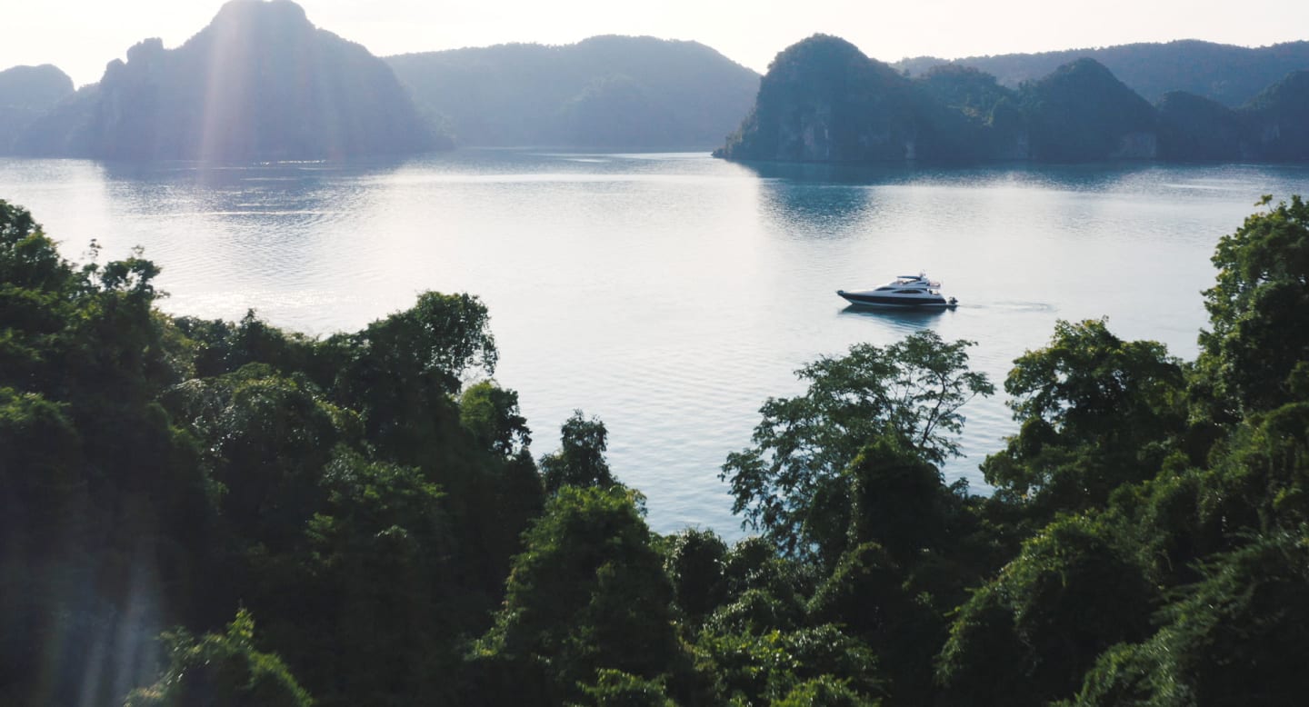 What's Right About Taj Mahal Tours