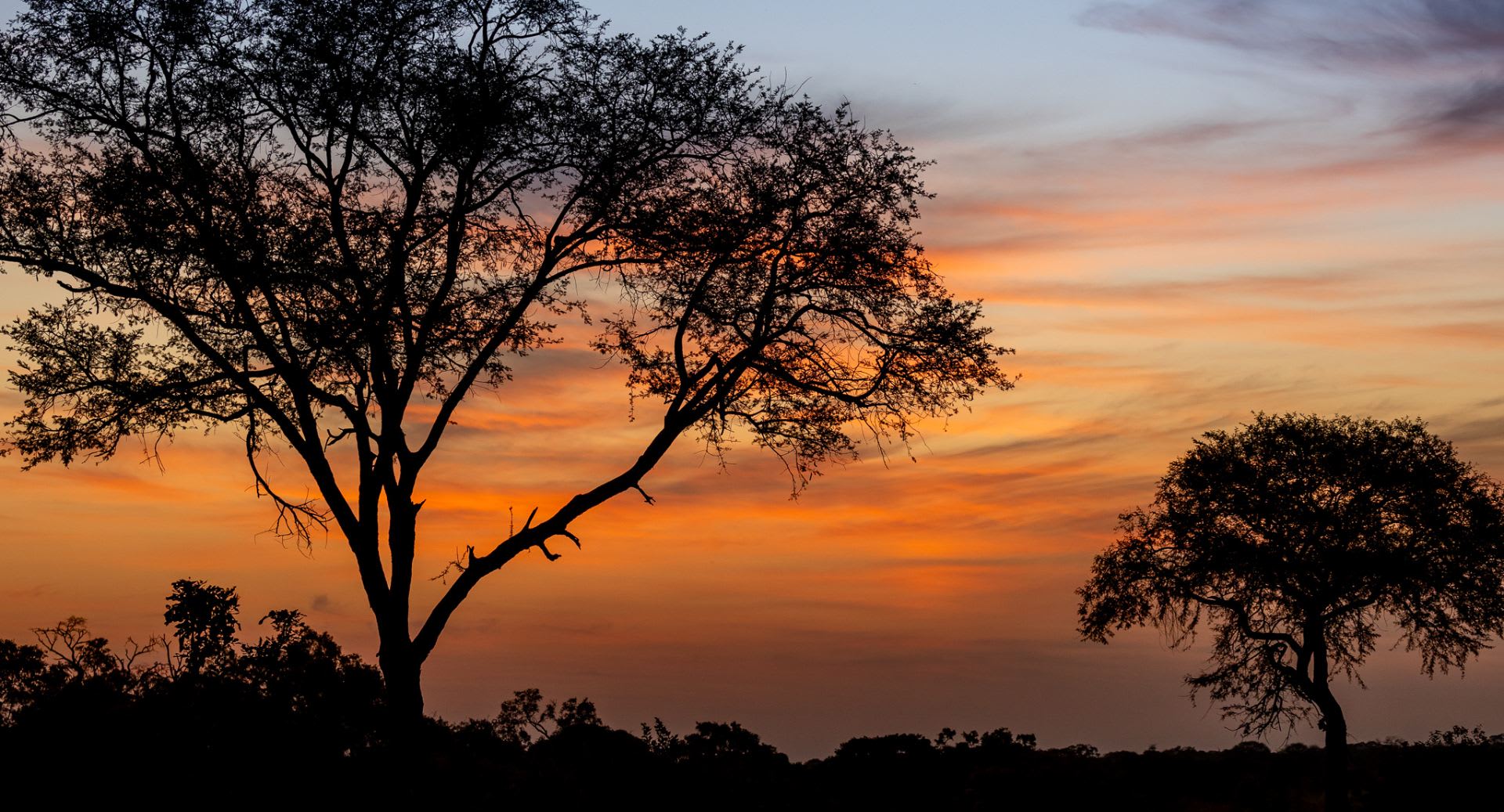 Anantara Kafue River Tented Camp