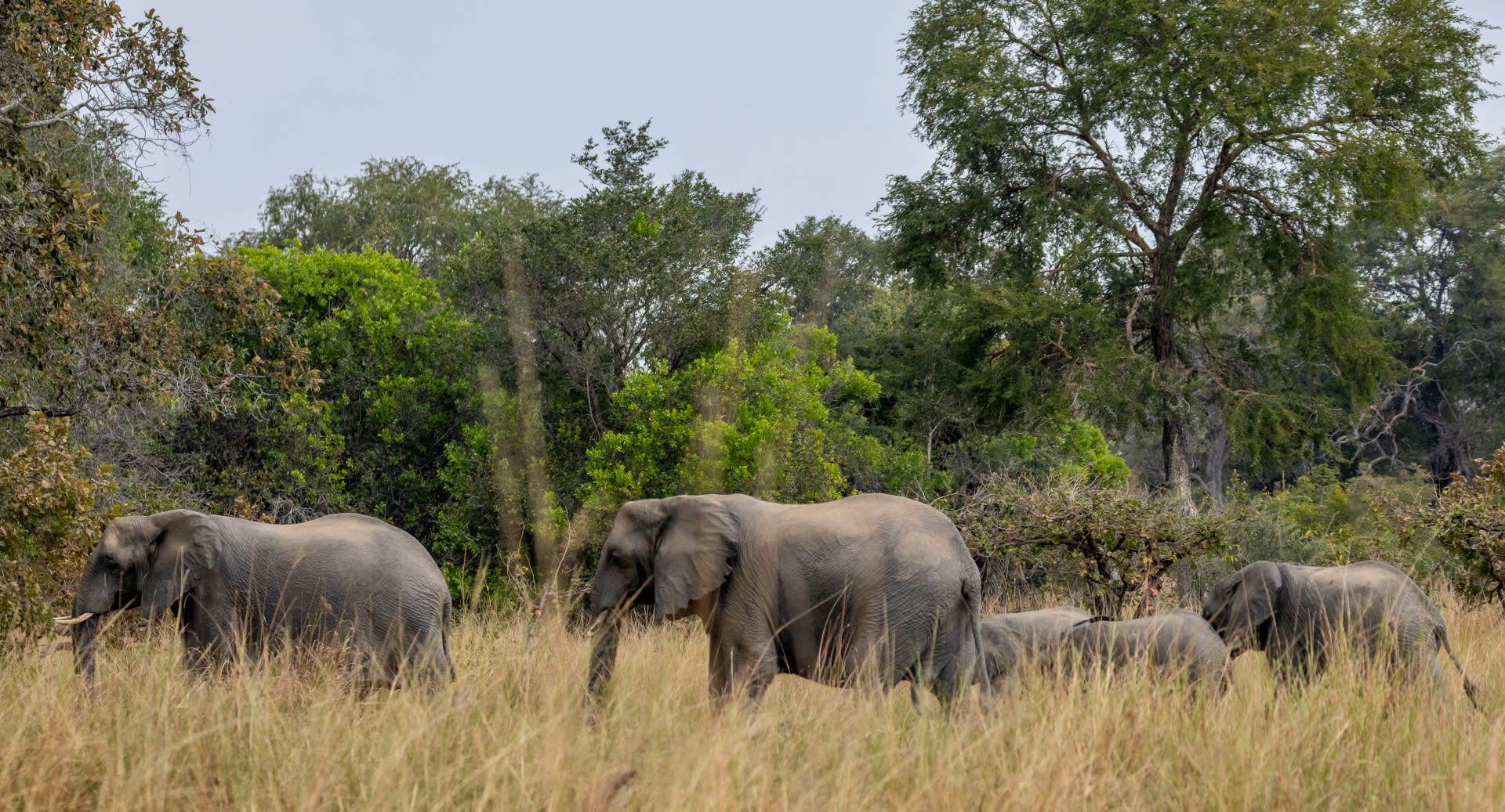 Anantara Kafue River Tented Camp