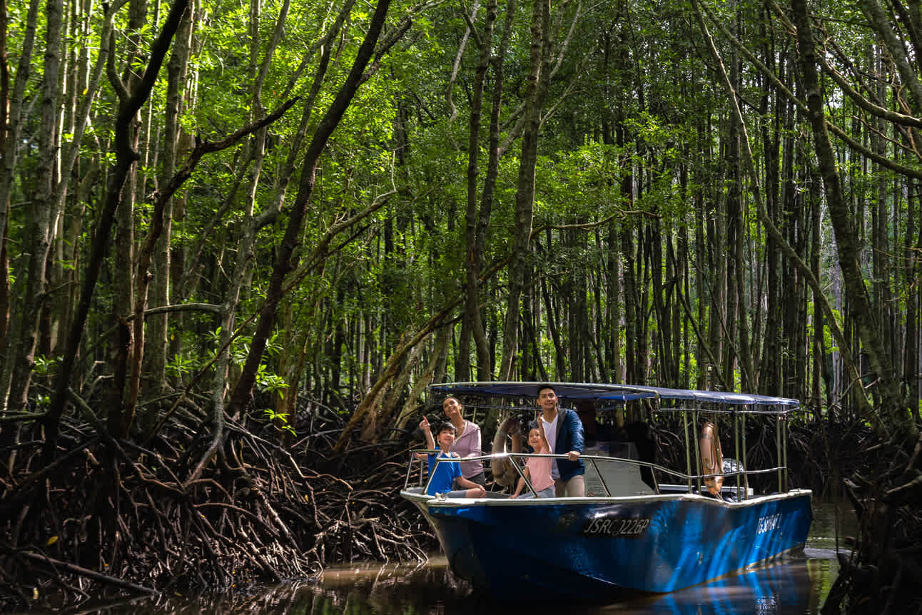 Through the Rewild Desaru program, Anantara Desaru Coast's funds will support the region’s first overhead wildlife crossing