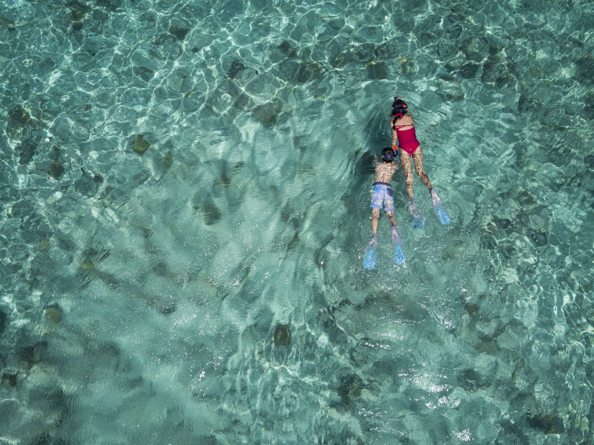 An aerial view of a family snorkelling in the lagoon.