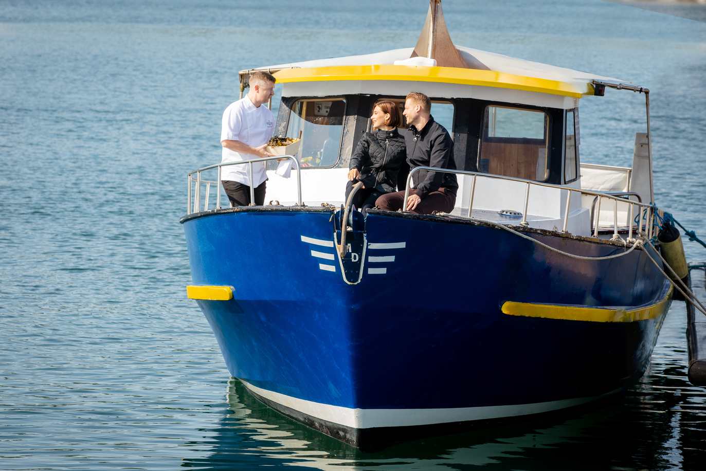 A private boat trip around Ireland's Eye 