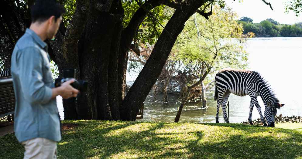 The Royal Livingstone Victoria Falls Zambia Hotel by Anantara offers front-row seats to witnessing African wildlife 