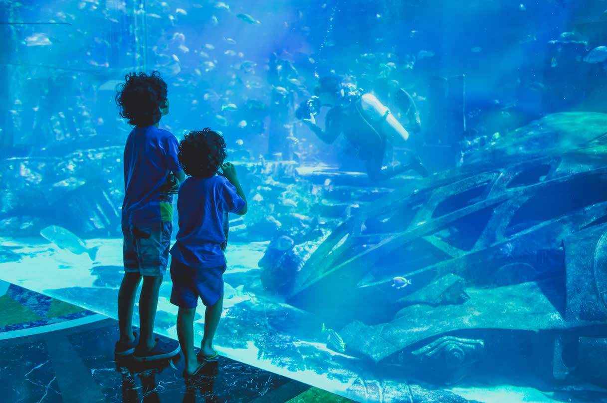Dubai Mall transforms into an entertainment hub with its massive aquarium for the holiday
