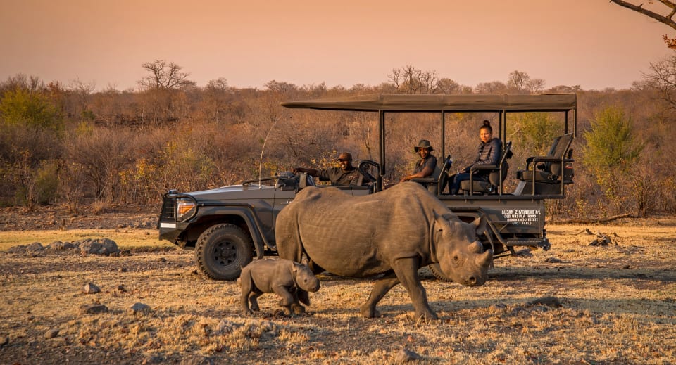 Rhino conservation efforts at Anantara Stanley & Livingstone Victoria Falls Hotel