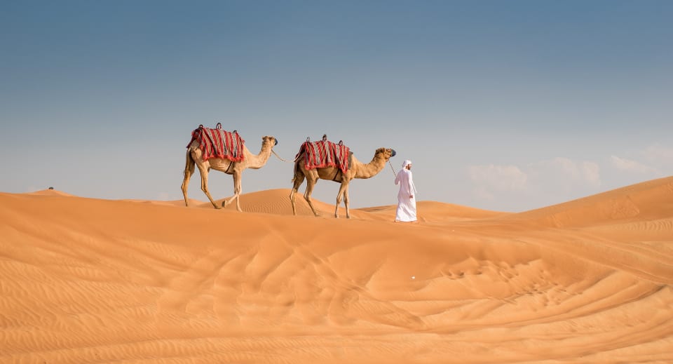Desert safari in Dubai