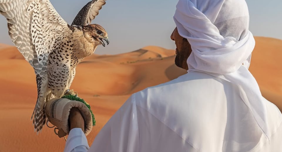 Falcon experience in Qasr Al Sarab Desert Resort by Anantara
