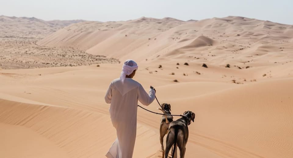 Saluki dogs at Qasr Al Sarab Desert Resort by Anantara