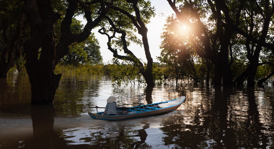 Boat gliding through flooded forest on Tonlé Sap Lake in Siem Reap.