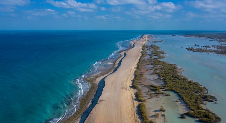 Water view of Sir Bani Yas