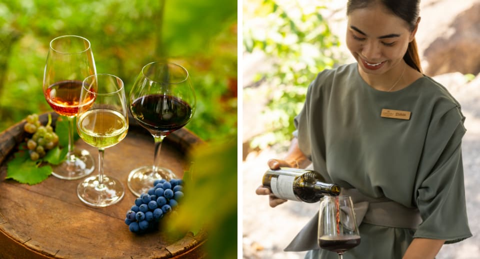 Becoming experts in wine