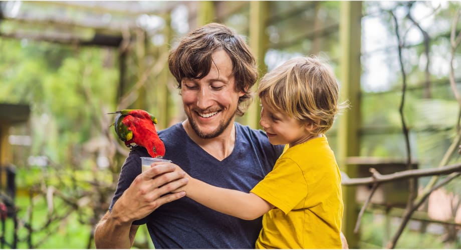 Adventure across generations in Bali - Bali Bird Park