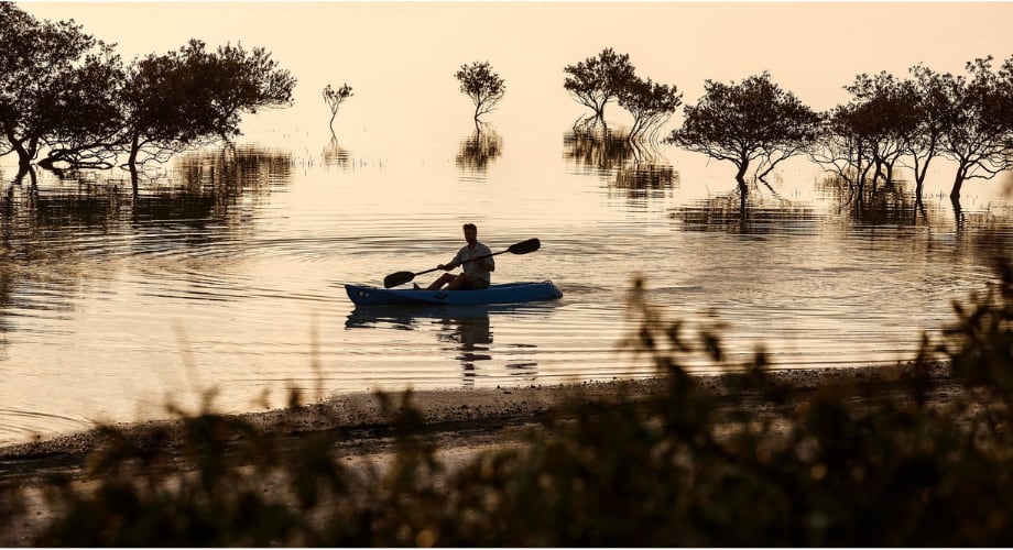 Kayaking around pristine coastlines at Sir Bani Yas