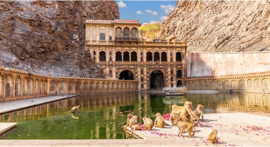 Galtaji Temple know for Monkey's - Spiritual healing