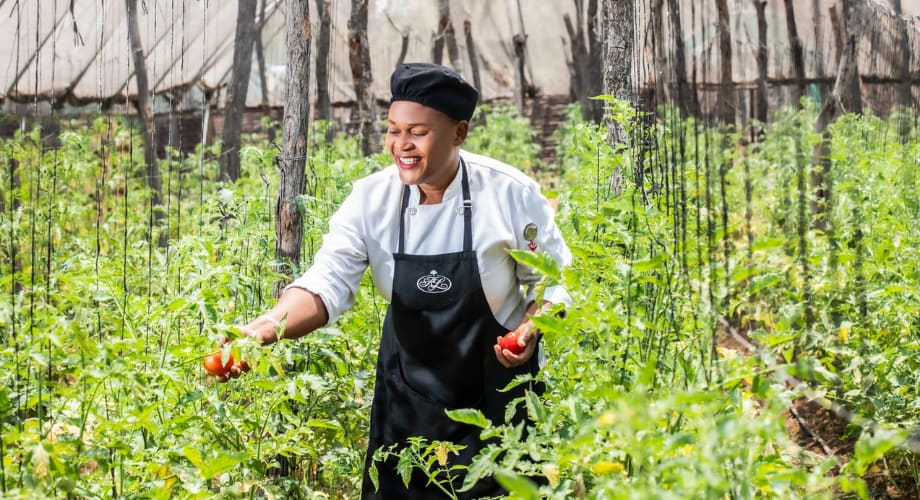Chef harvesting okra near the Zambezi River practicing sustainability 