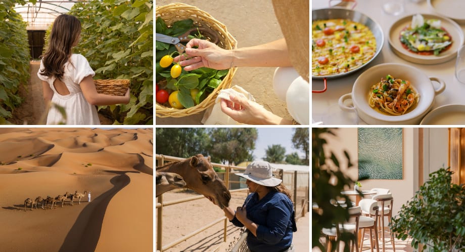 Fresh produce, wellness retreat at Anantara Qasr Al Sarab 