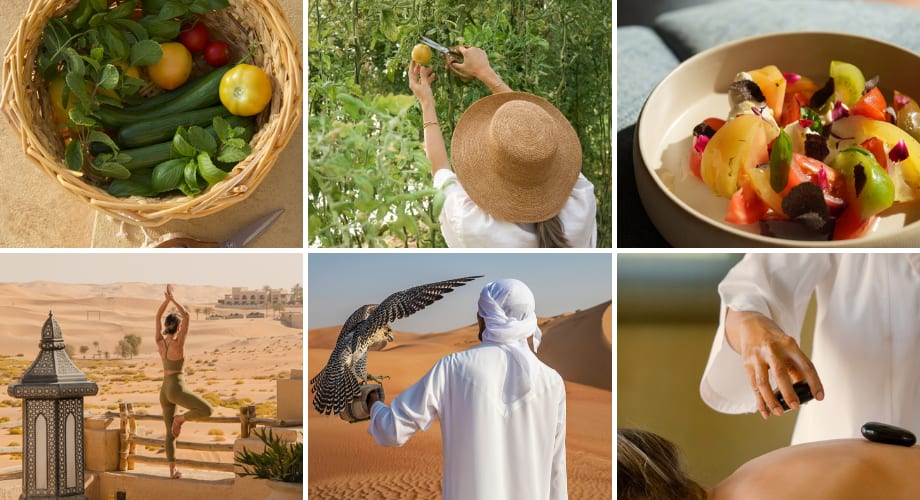 Series of wellness with  Anantara Spa, Animal spotting, and facials. 