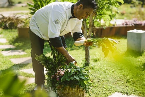 Discover Harvest Table by Anantara on Sri Lanka’s Southern Coast An organic Farm to Plate Culinary Journey
