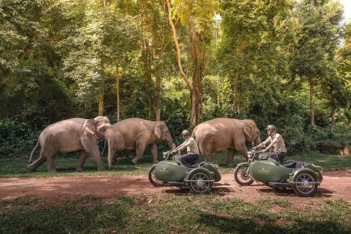 Hotel Transportation Gets a Royal Kickstart in Northern Thailand’s Jungle
