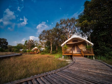 Cambodia’s Cardamom Tented Camp: Conservation Efforts Take Off as Guests and Rangers Embrace Forest Guardianship