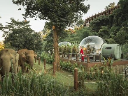 Santa Sighting at Anantara Golden Triangle's Jungle Bubble