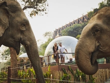 Anantara Golden Triangle Introduces Remote Working