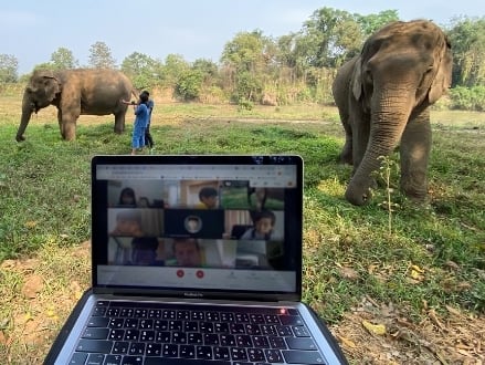 Anantara Golden Triangle Offers Unique Virtual Field Trips for Children