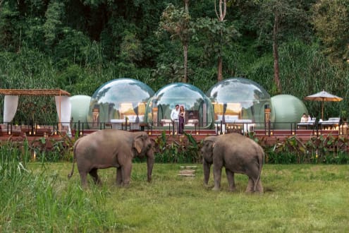 Anantara Golden Triangle Elephant Camp & Resort Launches New Family Jungle Bubble Lodge