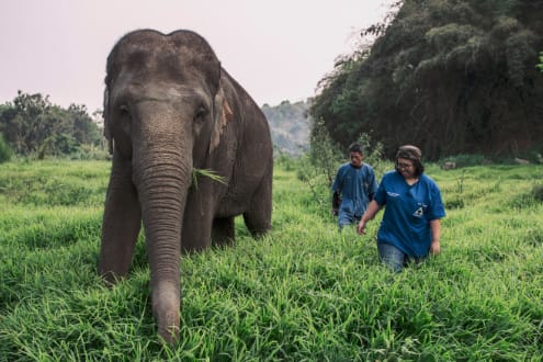 Anantara Hotels and Resorts Marks World Environment Day 2022 by Signing the UNESCO Sustainable Travel Pledge