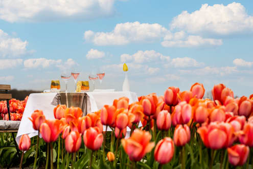 Experience Amsterdam in Full Bloom with Anantara Grand Hotel Krasnapolsky Amsterdam